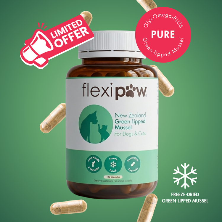 A bottle of flexipaw New Zealand Green Lipped Mussel capsules for dogs and cats, set against a green background with floating capsules and promotional badges.